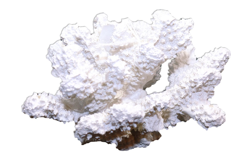 CORALLO RESINA BIANCO 