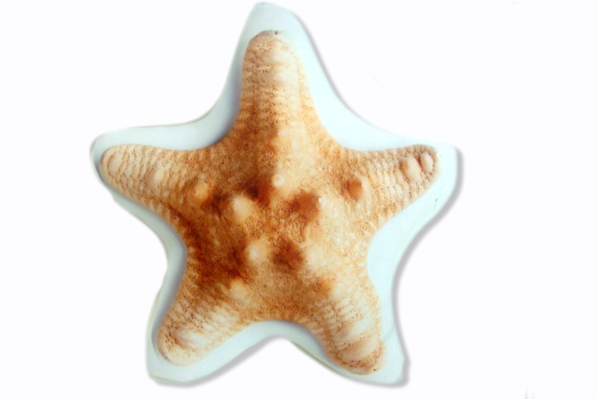 CUSCINO FORMA STELLA MARINA 40*40 CM 