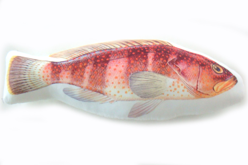 CUSCINO FORMA PESCE STRISCE ARANCIO 25*55 CM 