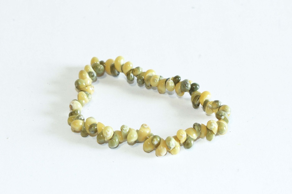 BRACCIALE  CONCHIGLIA 