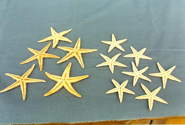 STELLE MARINE 1,5-UP  DIAM CM 3 