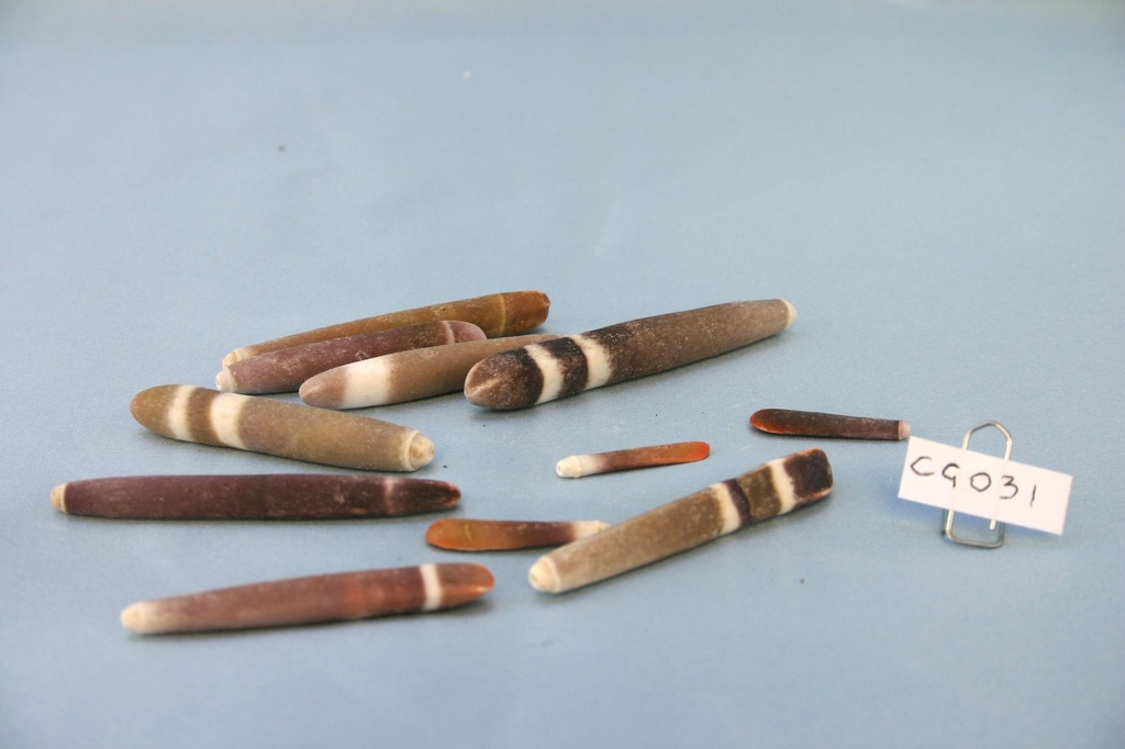 SPINE DI RICCIO CM 3-8 