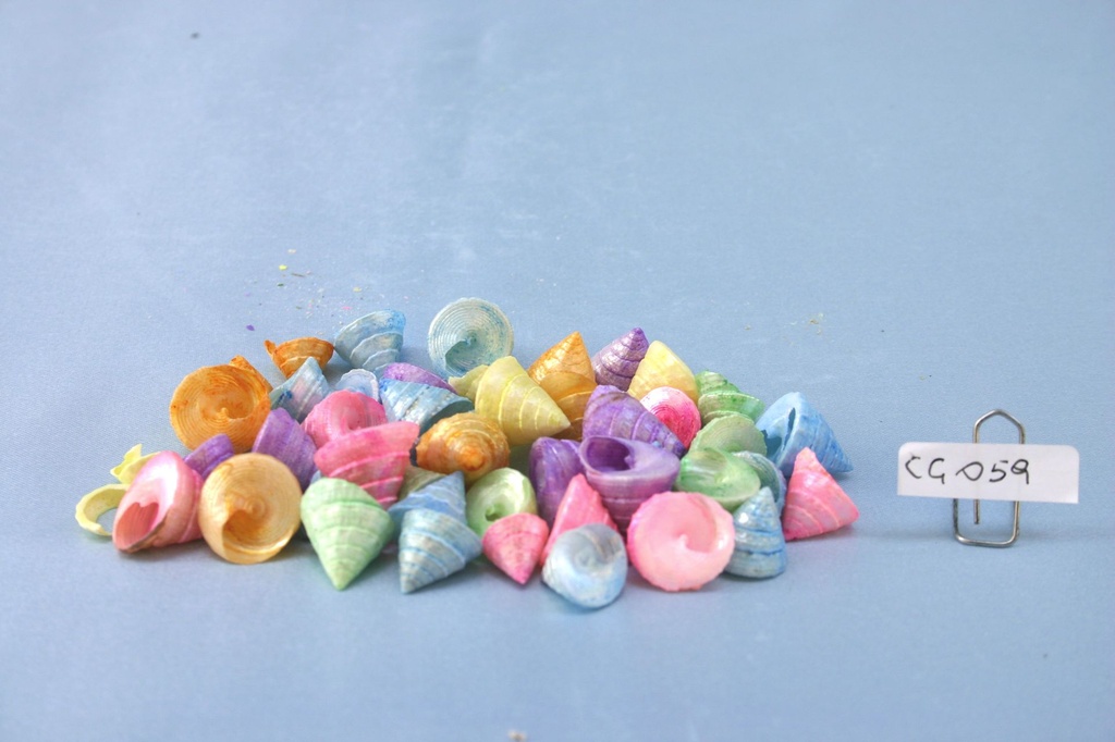 TROCAS PERLIZZATI COLORATI CM 1-2 