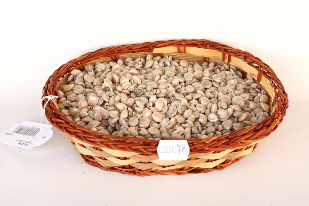 UNIBONIUM PERLIZZATO 