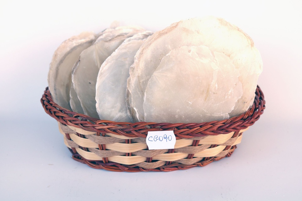 PLACUNA PLACENTA - CF 1 KG 