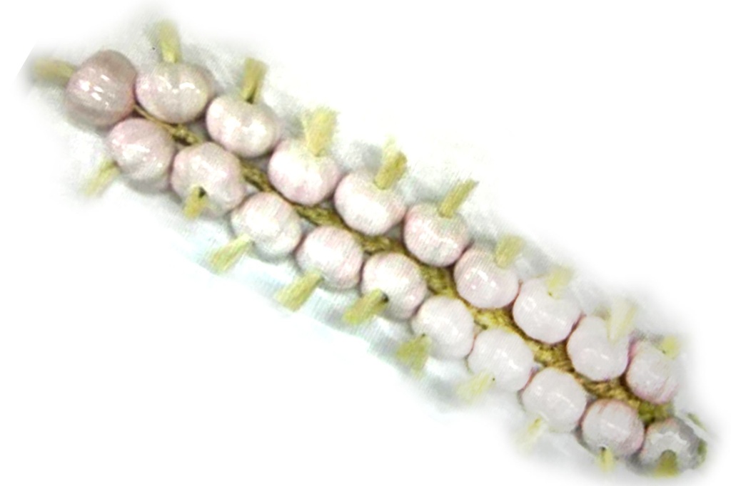 TRECCIA CORDA CON 12 AGLIO CERAMICA 