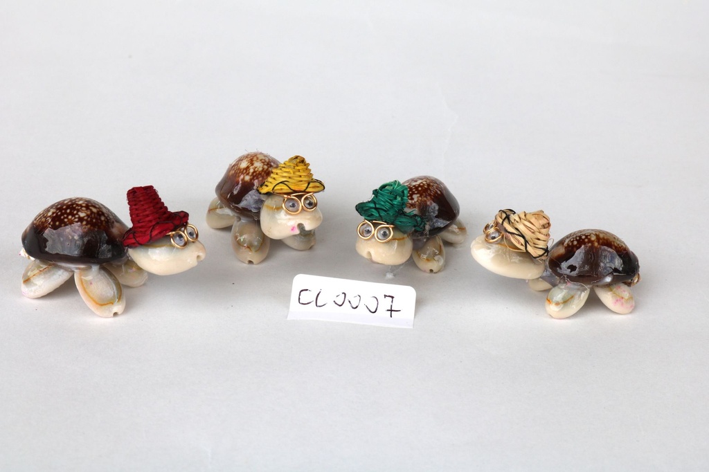 TARTARUGA CAPUT SERPENTIS C/CAPPELLO CM 2*6 