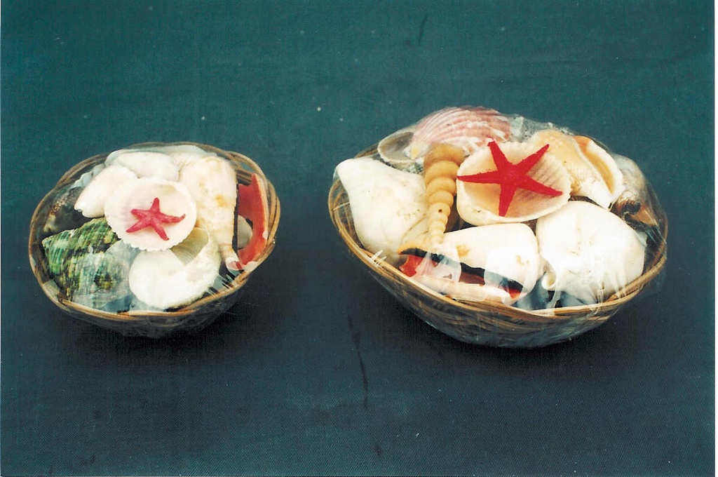 CESTINO CON CONCHIGLIE 4" DIAM CM 10 