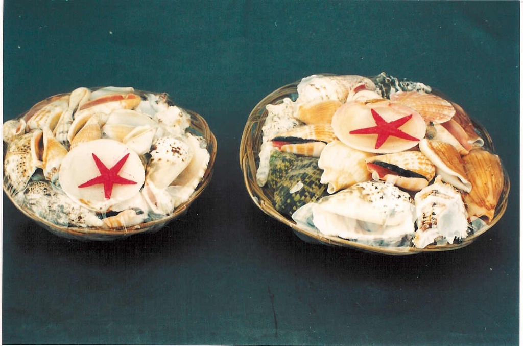 CESTINO CON CONCHIGLIE 8" DIAM CM 20 