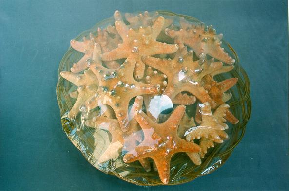 CESTA STELLE MARINE 3-4" LONGISP.NATUR DIAM CM 8 