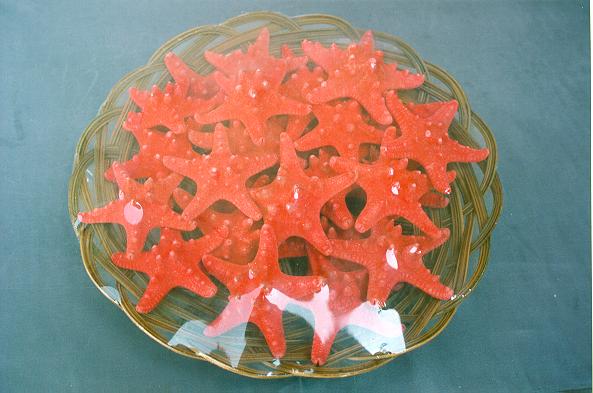 CESTA STELLE MARINE 3-4" LONGISP.ROSSE DIAM CM 8 