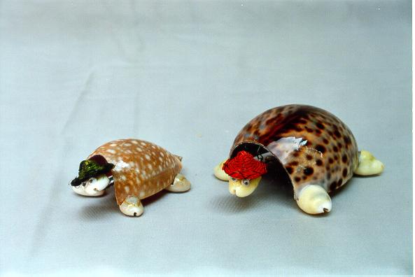 TARTARUGA 1 PZ CY EGLANTINA CM 3*7 