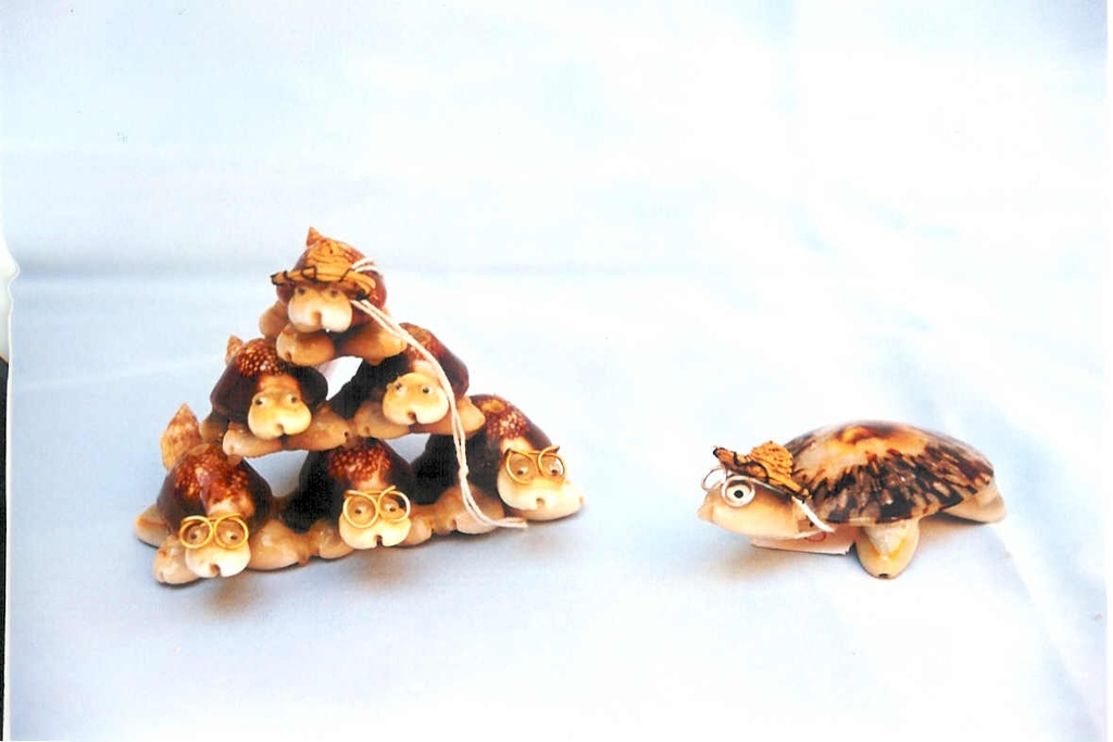 TARTARUGA PIRAMIDE CON CAPPELLO 6 PZ CM 6*8 