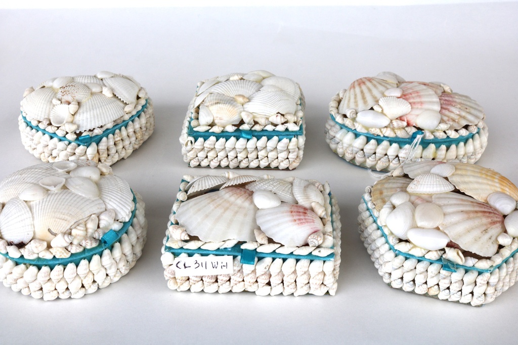 SCATOLA CONCH. BIANCHE MEDIE C/GLITTER 