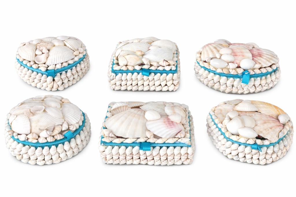 SCATOLA CONCH. BIANCHE MEDIE C/GLITTER 