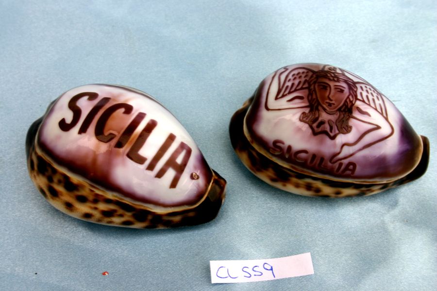 CYPREA TIGRIS SICILIA ASS. 