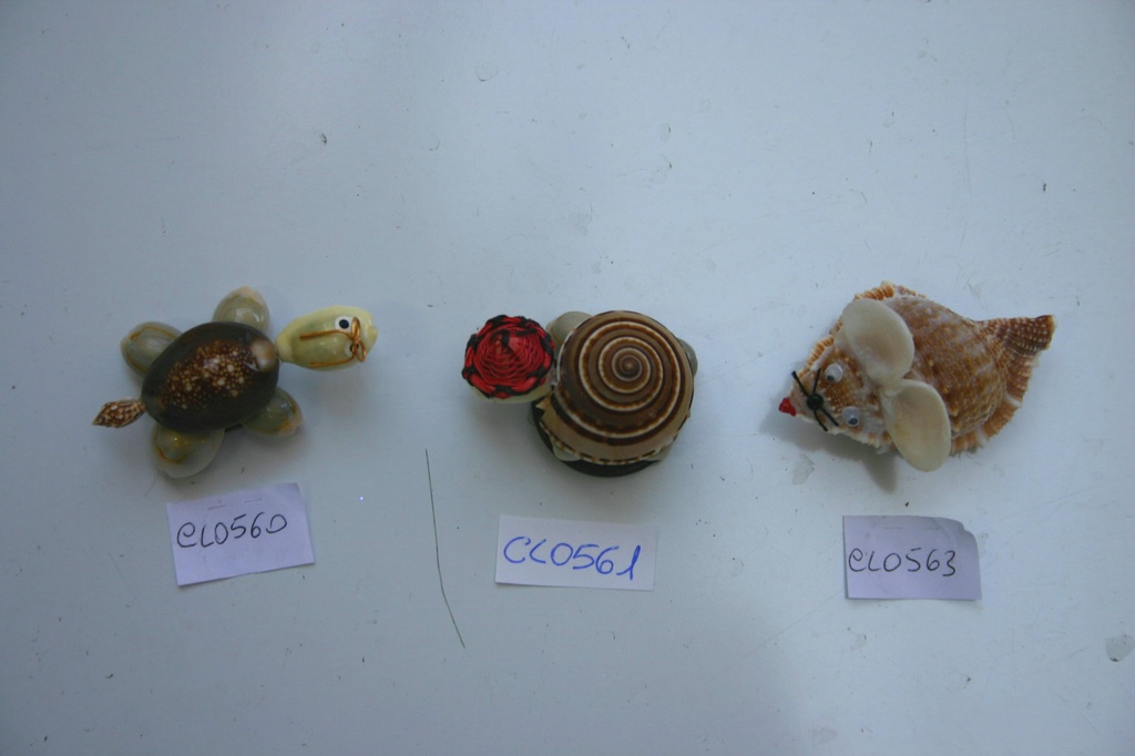 TARTARUGA SUNDIAL CON CALAMITA CM 5 