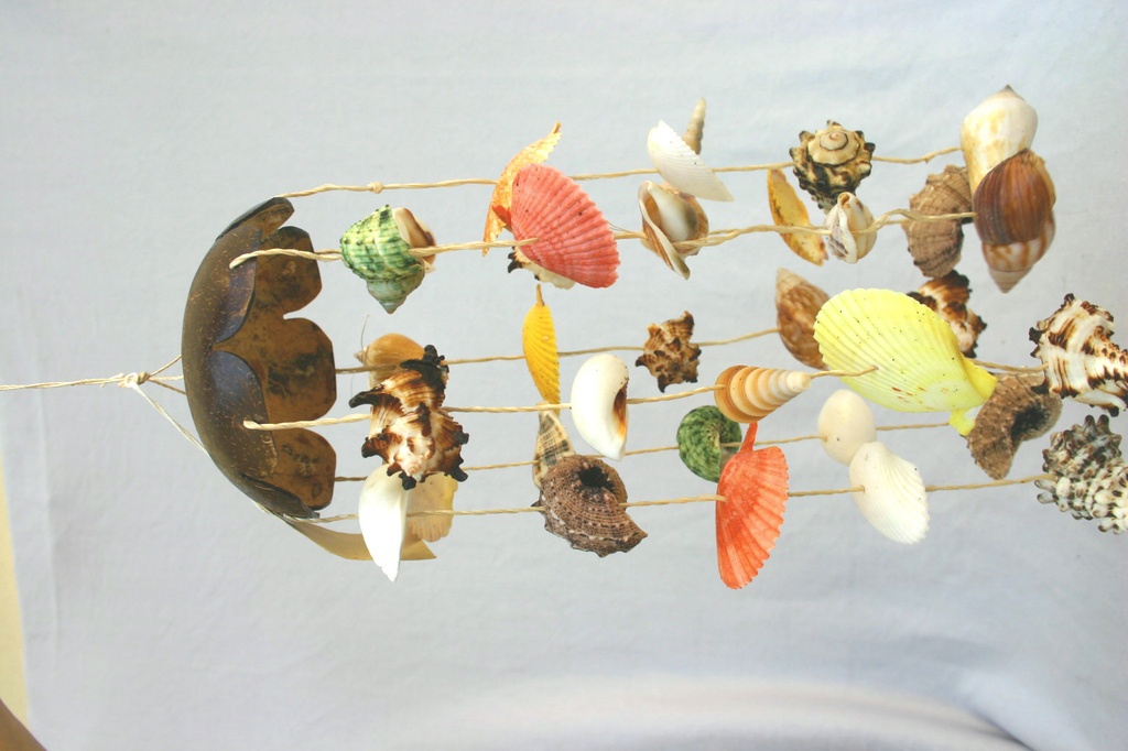 SCACCIAPENSIERI COCCO c/CONCHIGLIE CM 35 