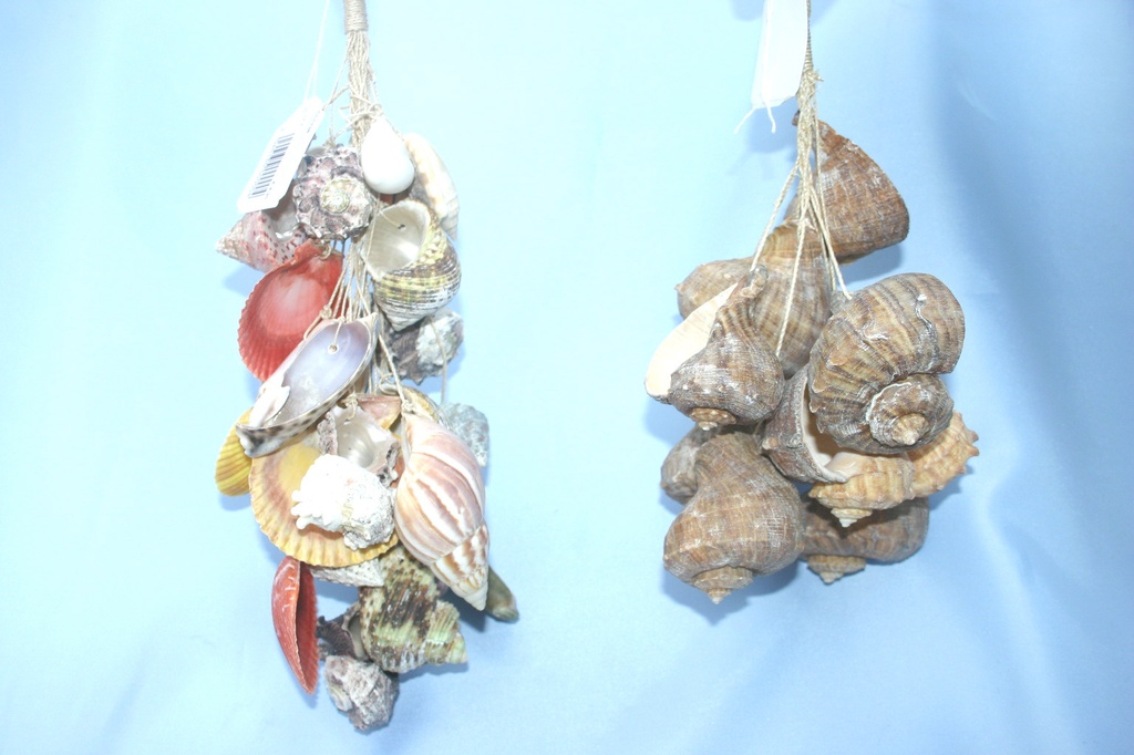 GRAPPOLO CORDA c/RAPANA CM 30 