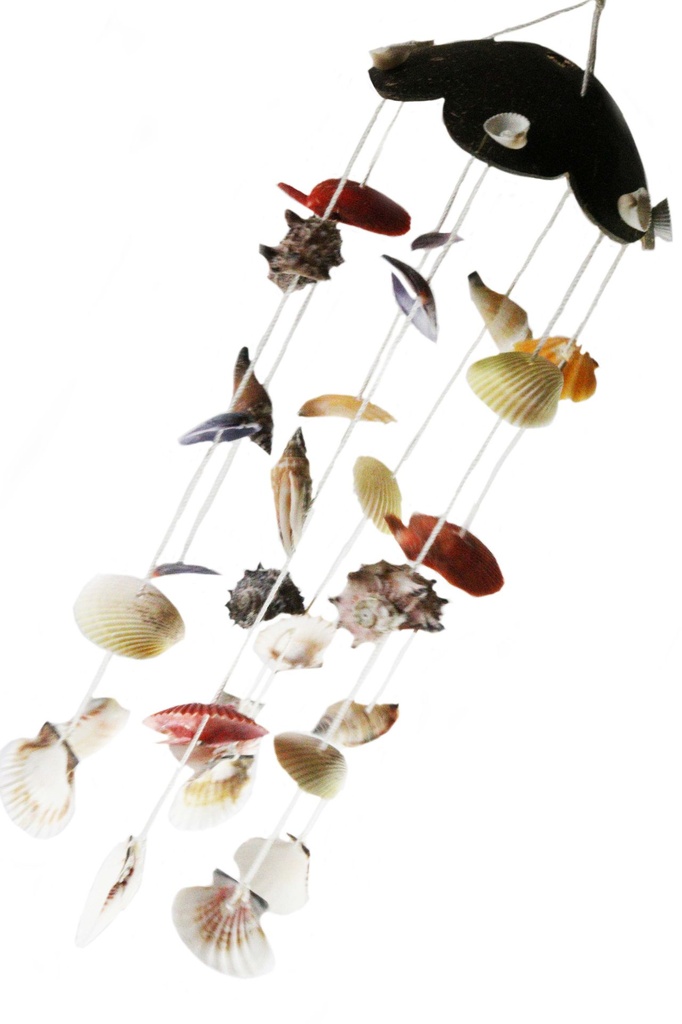 SCACCIAPENSIERI FIORE COCCO C/CONCHIGLIE CM 42 