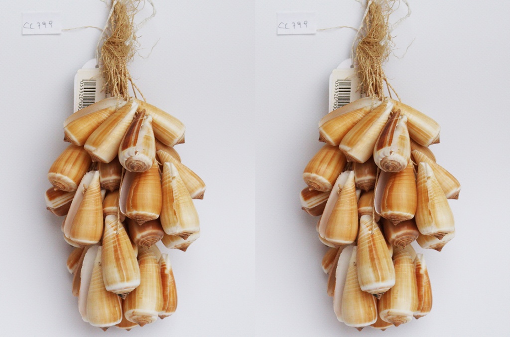 GRAPPOLO CORDA c/CONUS RADIATUS CM 40 