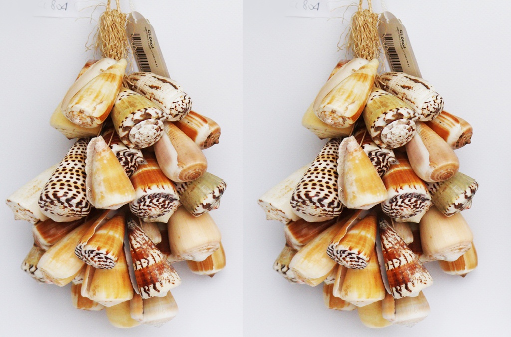 GRAPPOLO CORDA c/CONI CM 44 