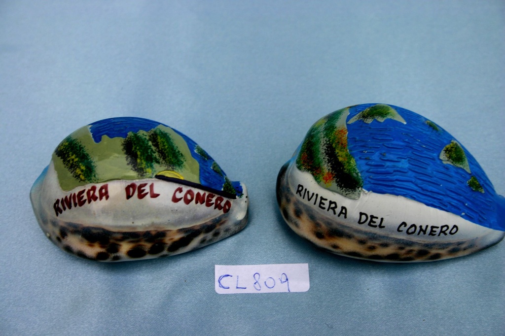 CY TIGRIS DIPINTA "RIVIERA DEL CONERO" 