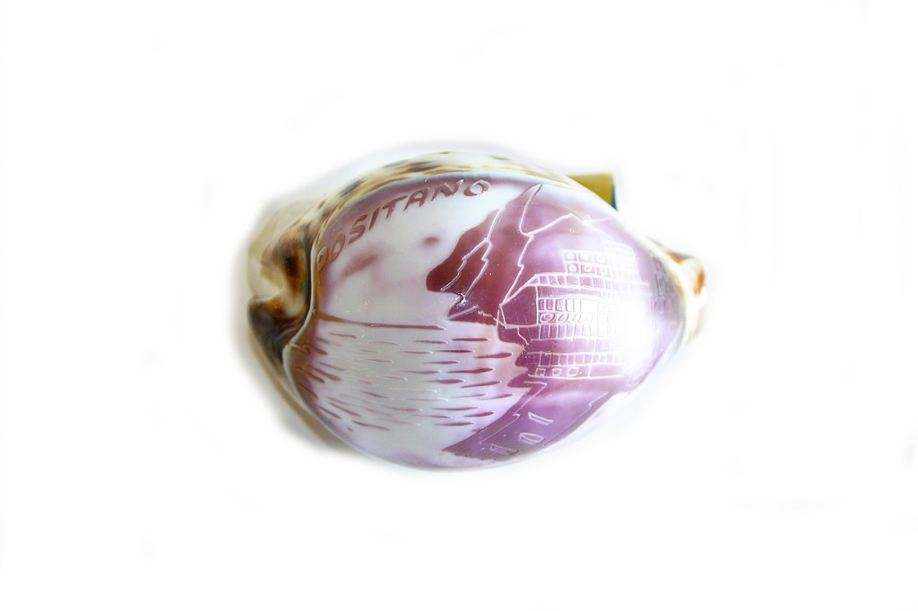 CYPREA TIGRIS INCISA "POSITANO" 