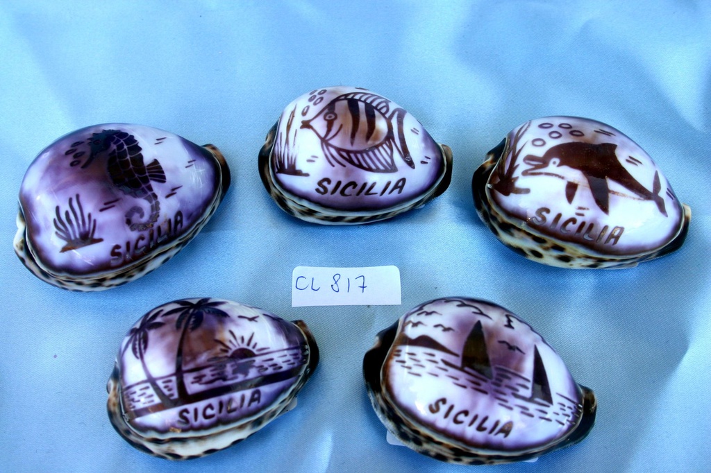 CYPREA TIGRIS INC. SOGG.MARINI "SICILIA" 