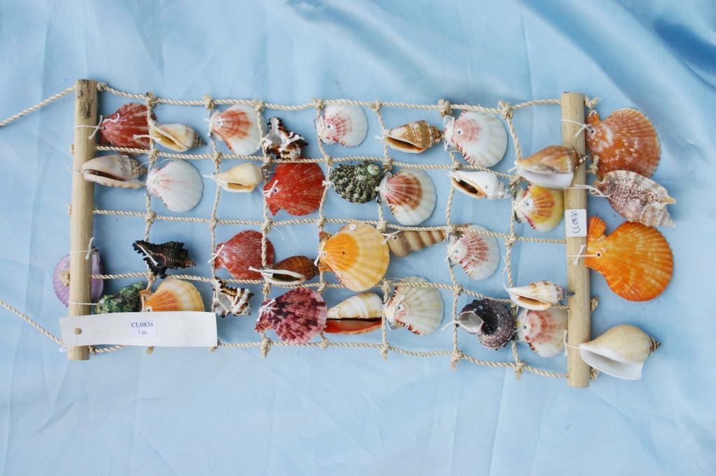 RETE c/CONCHIGLIE 45x20cm 