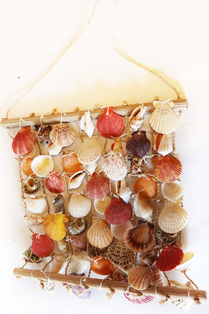 RETE c/CONCHIGLIE 47x34cm 