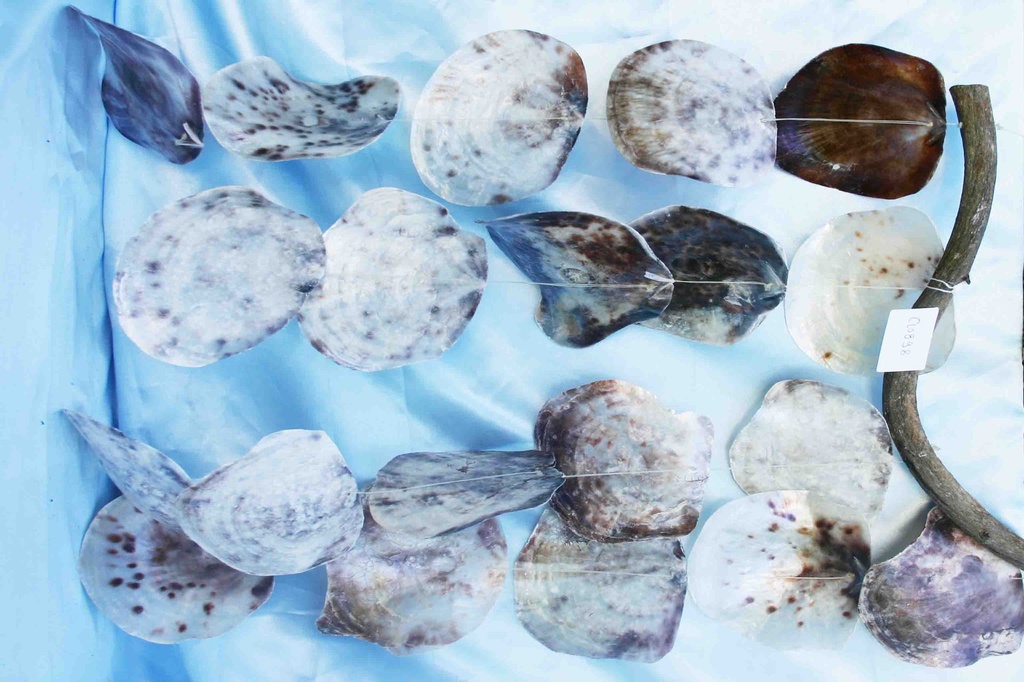 SCACCIAPENSIERI RAMO PLACUNA 40x60 