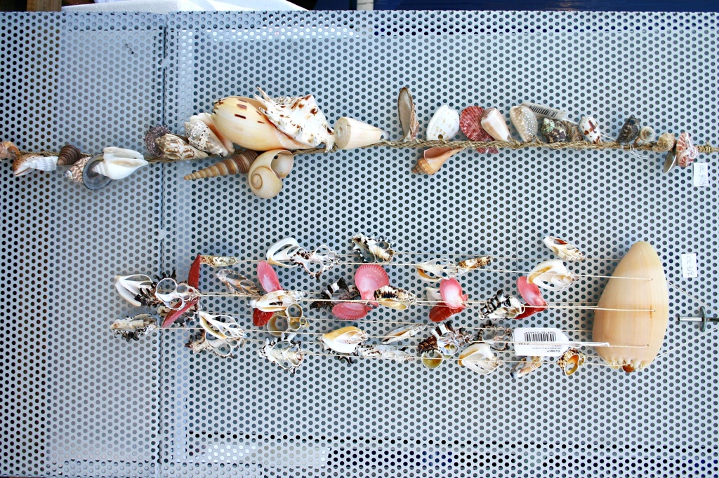 SCACCIAPENSIERI MELO C/CONCHIGLIE TAGLIATE 