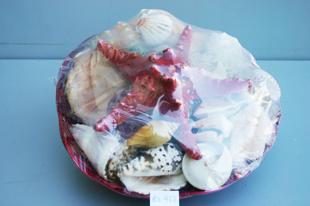 CESTINO COL.10" C/CONC+STELLA LONGCOL CM 25 