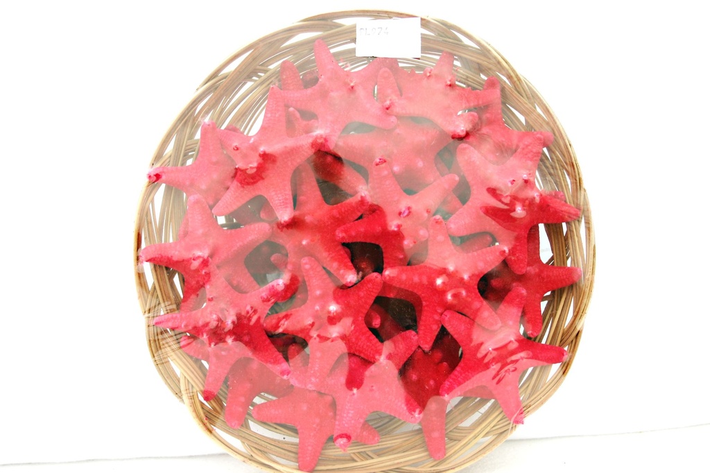 CESTINO 8" C/24 STELLE LONG 2-3" ROSSE DIAM CM 7 