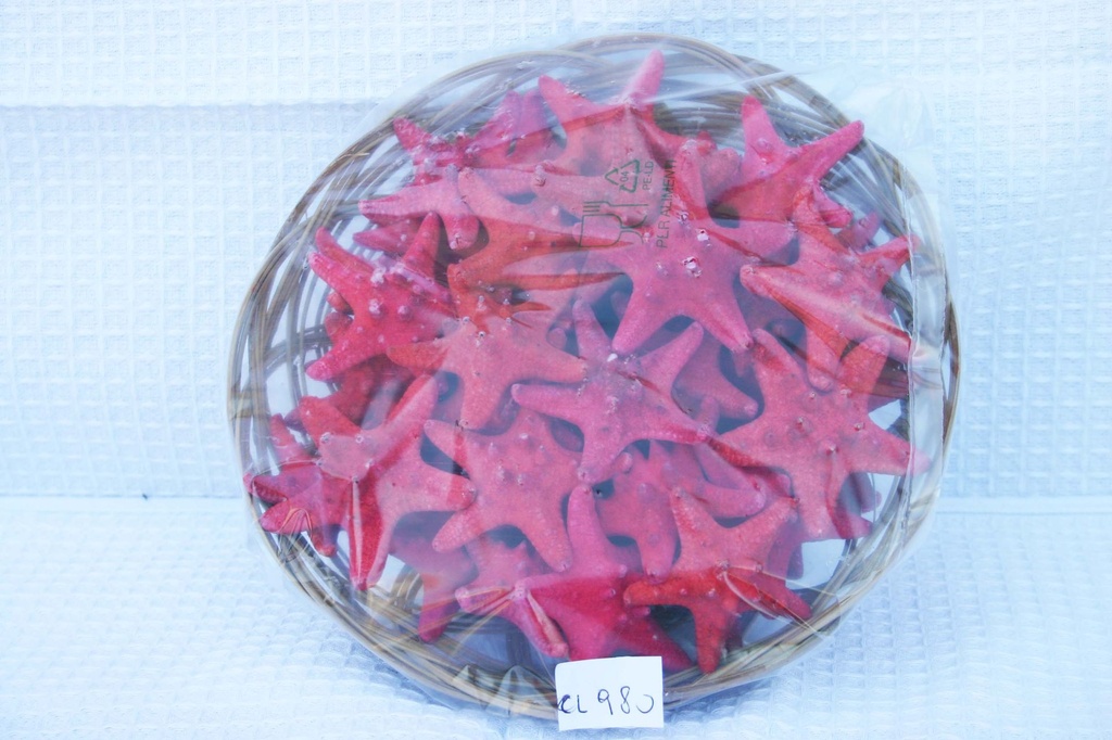 CESTO C/50 STELLE MARINE LONG. ROSSE 1-2" CM 2.5 