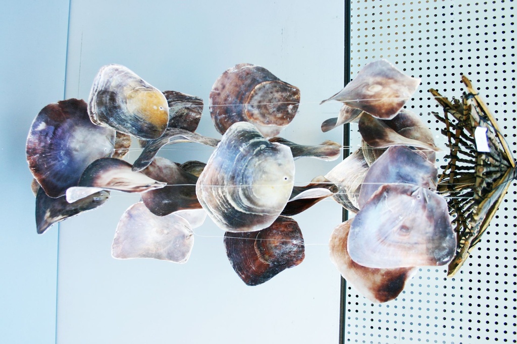 PLACUNA CHIME 25-26 CM 70 