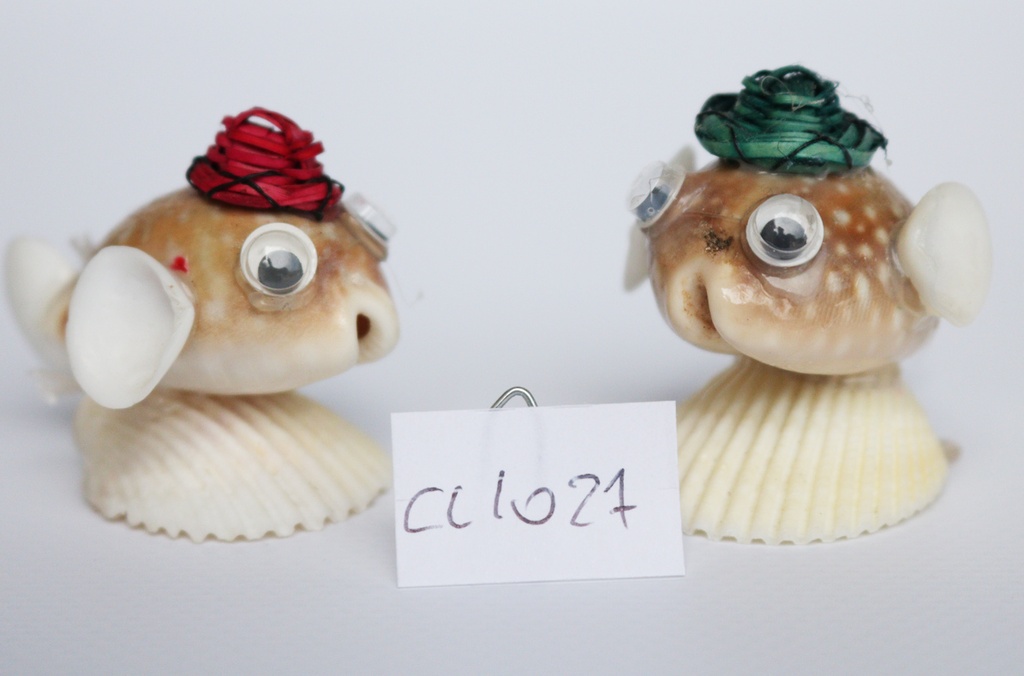 PESCE CYPREA VITELLUS C/CAPPELLO IN COL ASS CM 4*6 