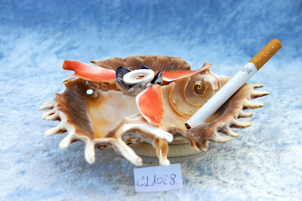 POSACENERE 3 LAMBIS TAGLIATE BASE CODAC DIAM CM14 