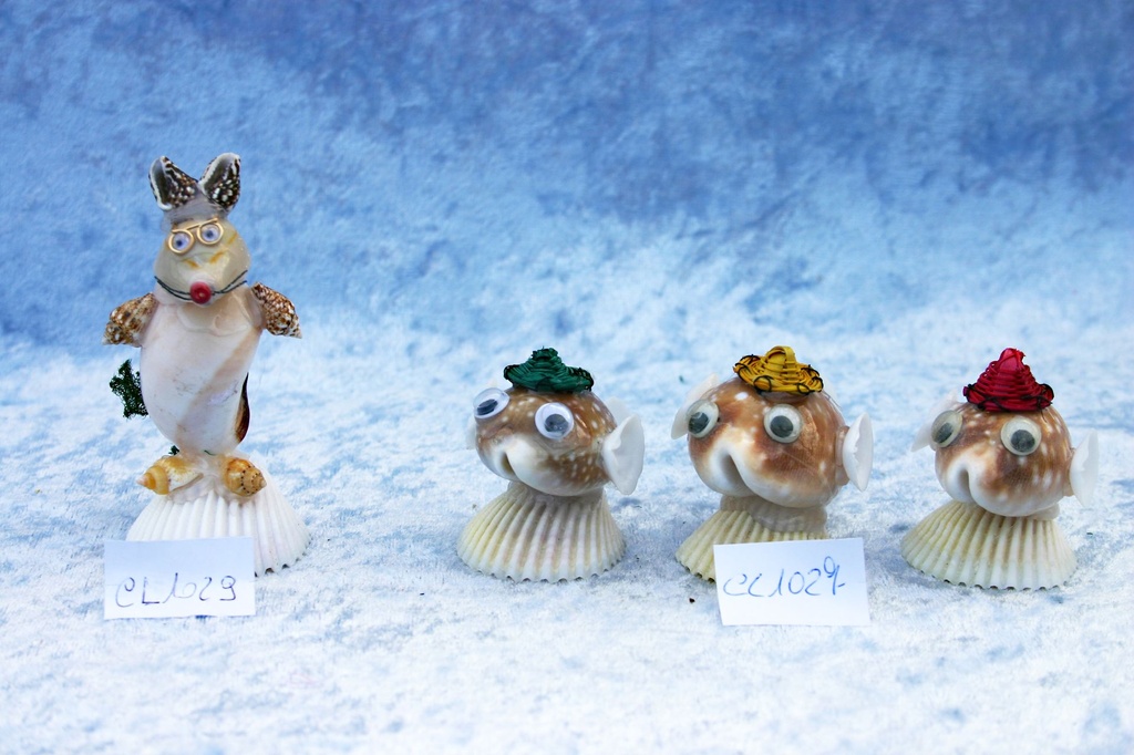 MICIO MOONSHELL BASE CODACKIA CM 7.5 