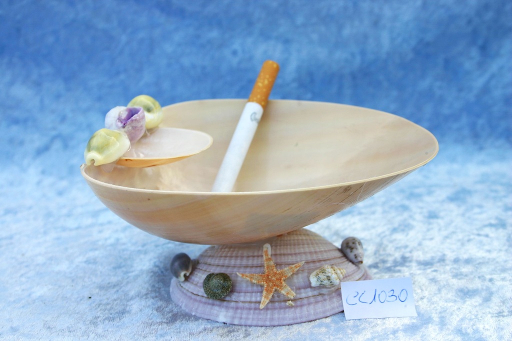 POSACENERE MELO TAGLIATO BASE CODACKIA CM 15*5.5 