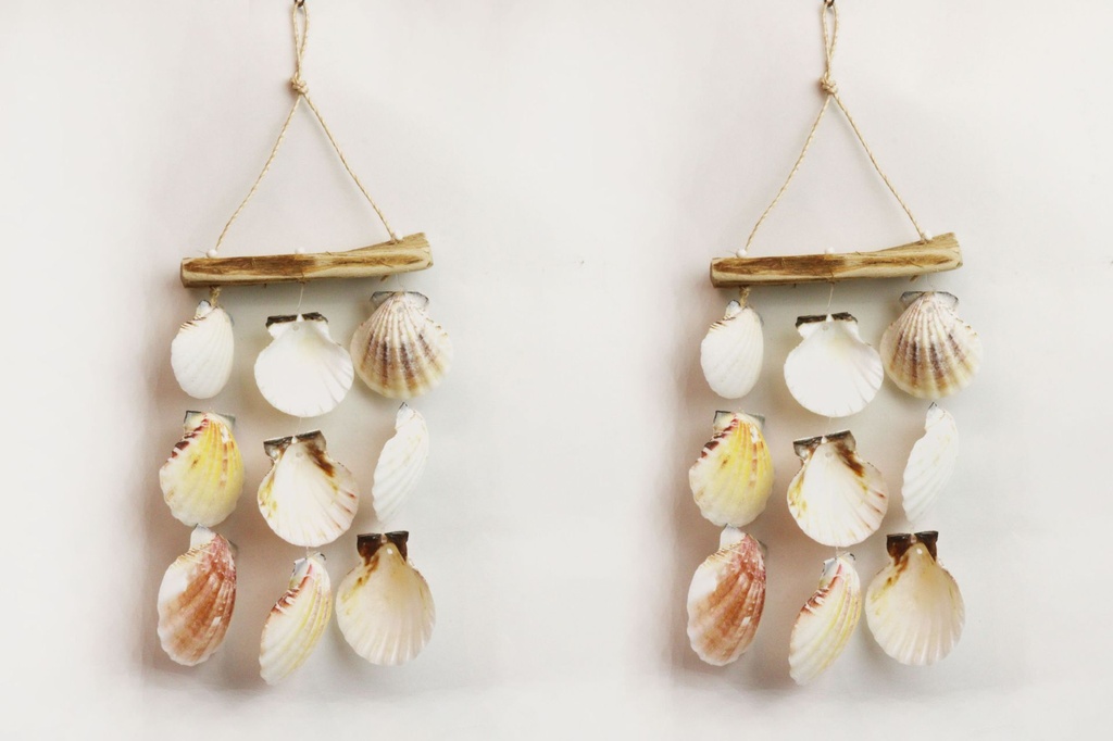 SCACCIAP LEGNETTO C/PECTEN VEXILLUM 3 FILI CM20*12 