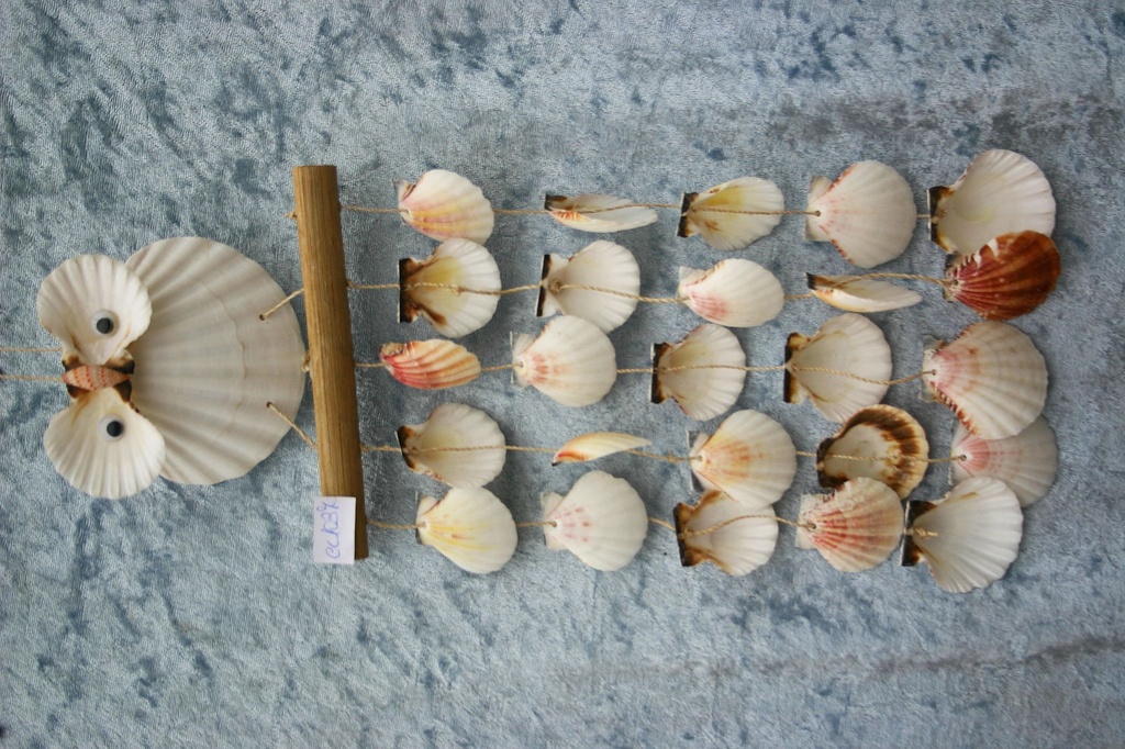 SCACCIAP GUFO CAPPAS+LEGN 5 FILI PECTEN VEX 36*15 