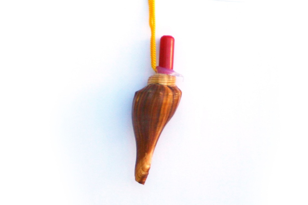 TROMBETTE C/CONCHIGLIE FUSUS MARRONE CM 40 