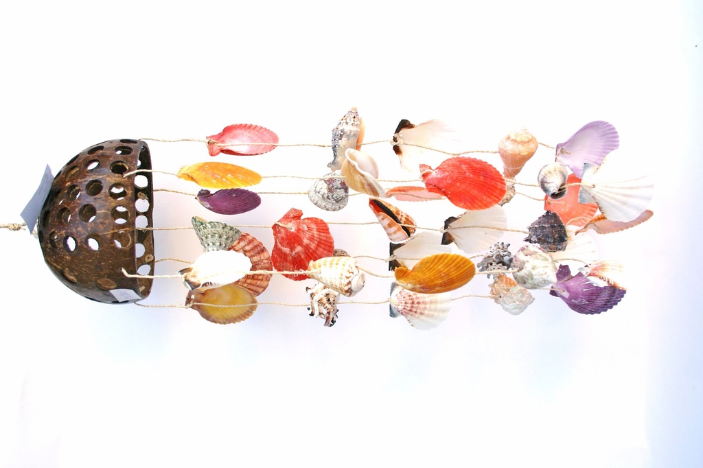 SCACCIAPENSIERI COCCO FORATO C/7 FILI CM 48 