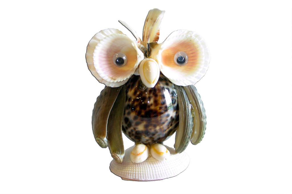 GUFO TIGRINO OCCHI GRA+ALI HALIOTIS ASININA 11*9.5 