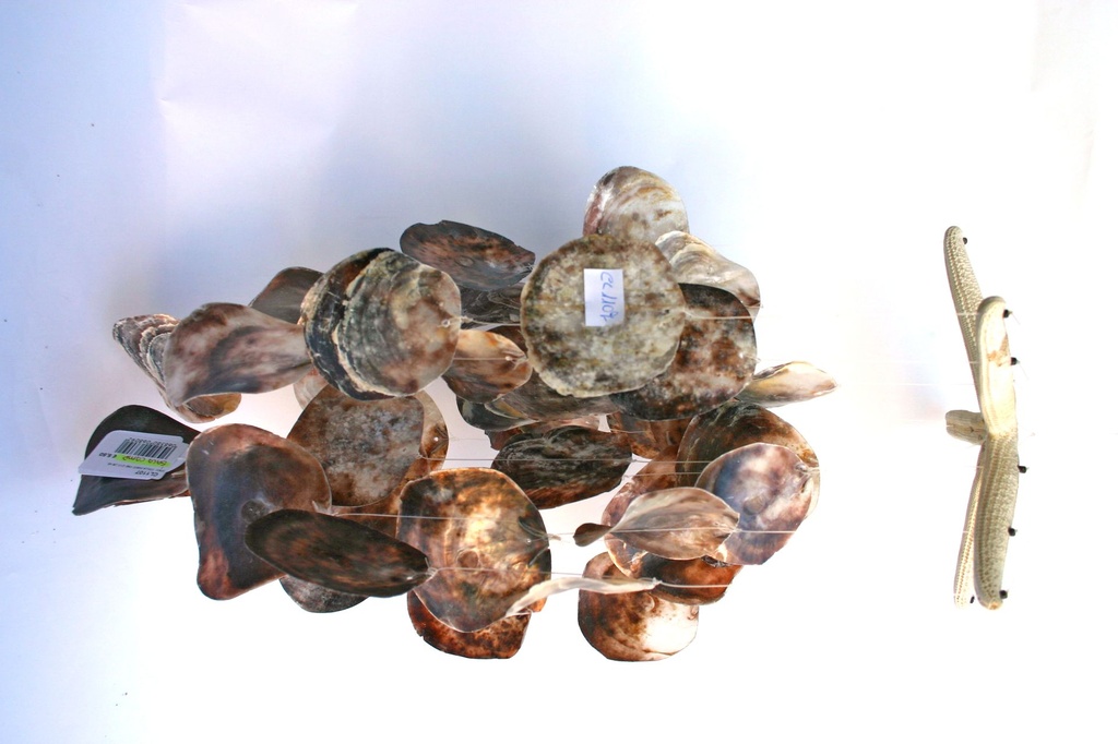 SCACC. STELLA PUNTE F. C/13 FILI PLACUNA CM 48 