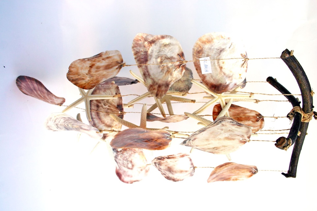 SCACC 2 LEGNETTI 5 FILE PLACUNA+4 FILE STELLE CM52 