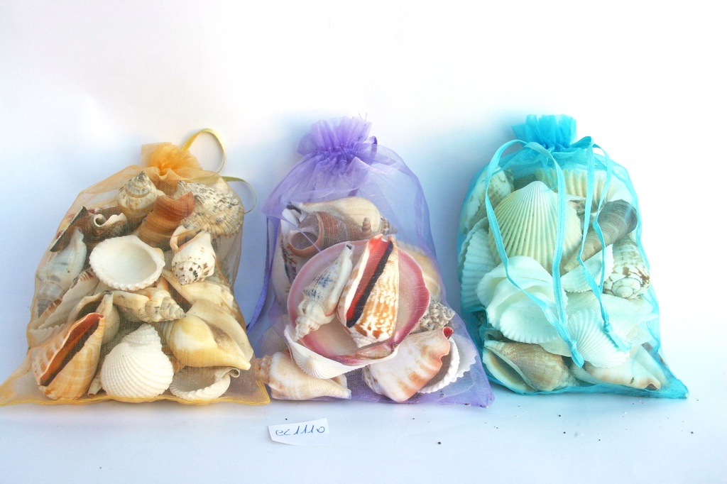 SACCHETTO RASO C/FIOCCO+CONCH GR300 6 COL CM15*10 