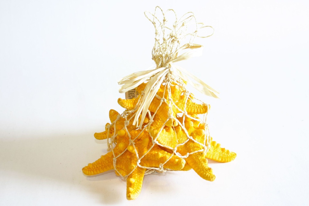 RETE CORDA C/RAFFIA+5 STELLE LONG ARANCIO 16*14 